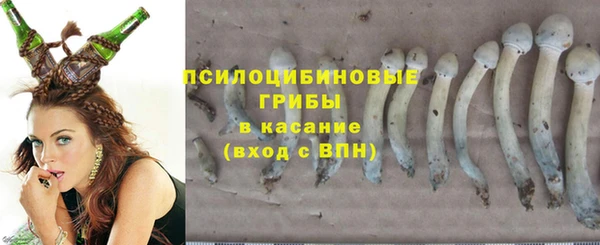 Альфа ПВП Саяногорск