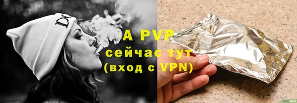 a pvp Белокуриха