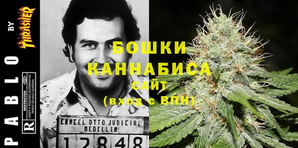 a pvp Белокуриха