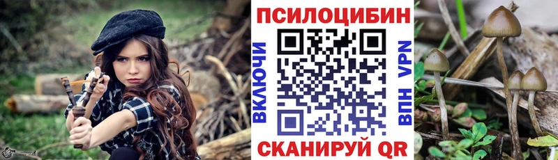 Галлюциногенные грибы мицелий  Верещагино 